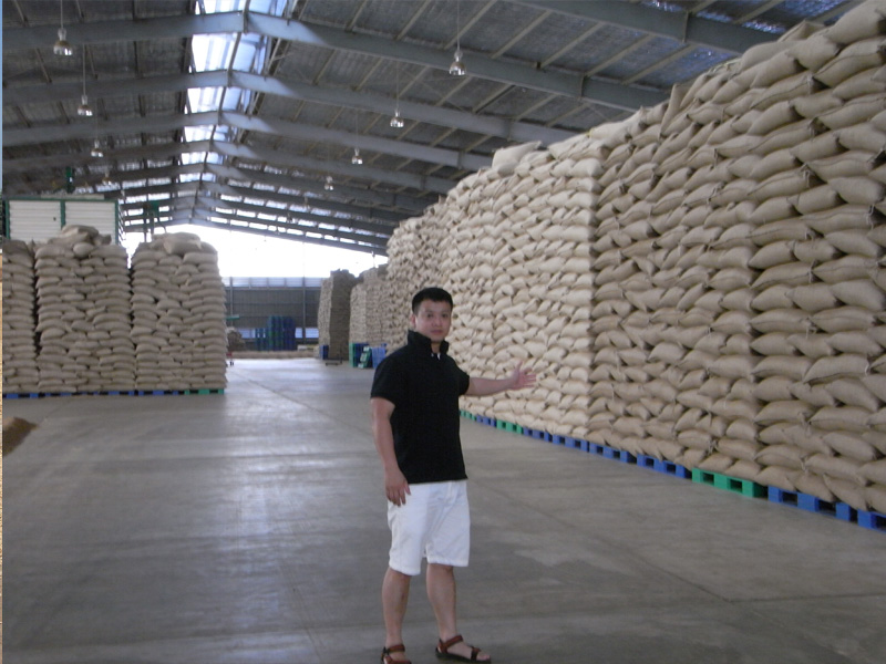 寮國咖啡生豆集中場