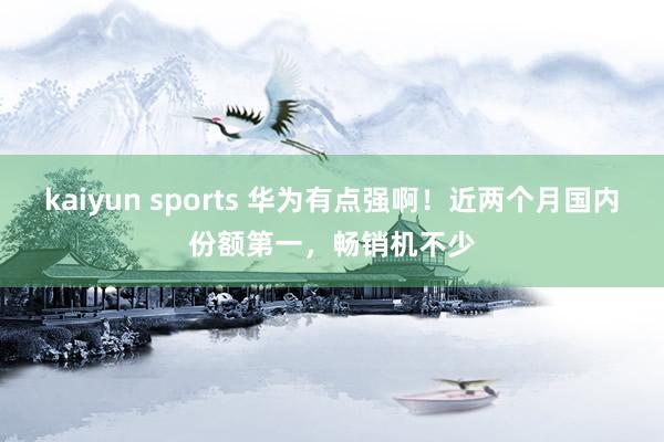 kaiyun sports 华为有点强啊！近两个月国内份额第一，畅销机不少