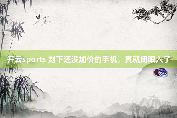 开云sports 刻下还没加价的手机，真就闭眼入了