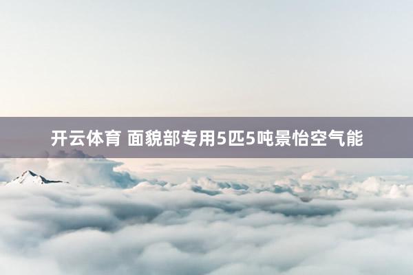 开云体育 面貌部专用5匹5吨景怡空气能