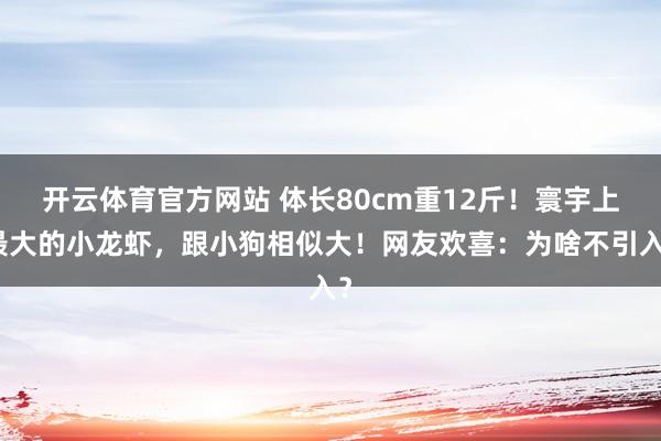 开云体育官方网站 体长80cm重12斤！寰宇上最大的小龙虾，跟小狗相似大！网友欢喜：为啥不引入？
