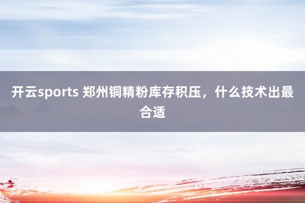 开云sports 郑州铜精粉库存积压，什么技术出最合适