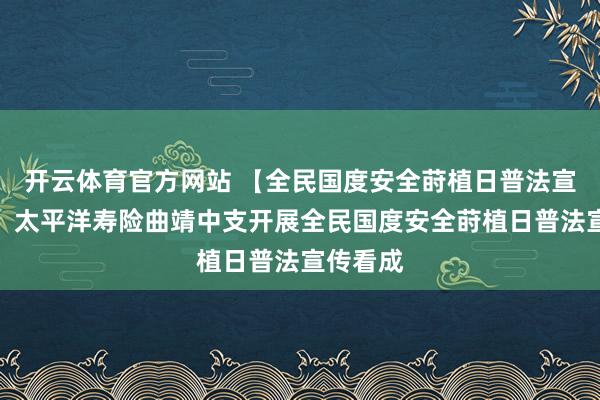 开云体育官方网站 【全民国度安全莳植日普法宣传看成】太平洋寿险曲靖中支开展全民国度安全莳植日普法宣传看成