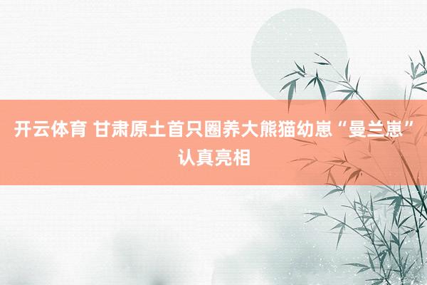 开云体育 甘肃原土首只圈养大熊猫幼崽“曼兰崽”认真亮相